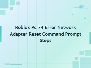Fix Roblox Pc Error 74 with a Network Adapter Reset